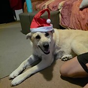 Morayfield, Queensland, Australia