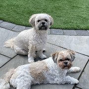 Chester, North West England, UK