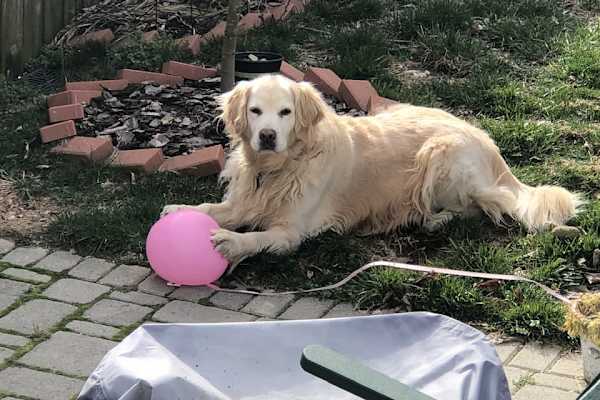 Washington, D.C., Washington, D.C., United States