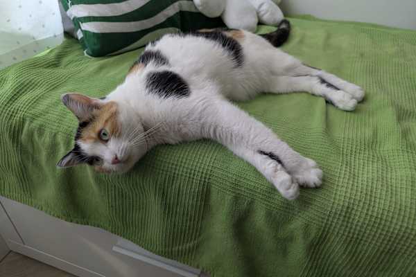 Amsterdam, North Holland, Netherlands