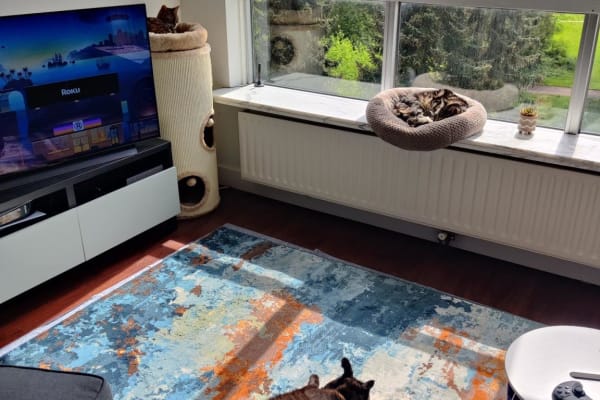 Amsterdam, North Holland, Netherlands