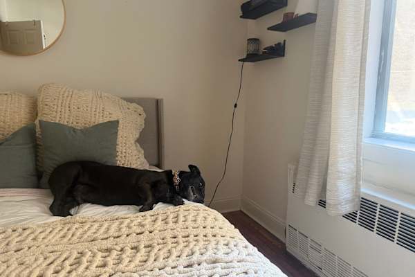 New York City, New York, United States