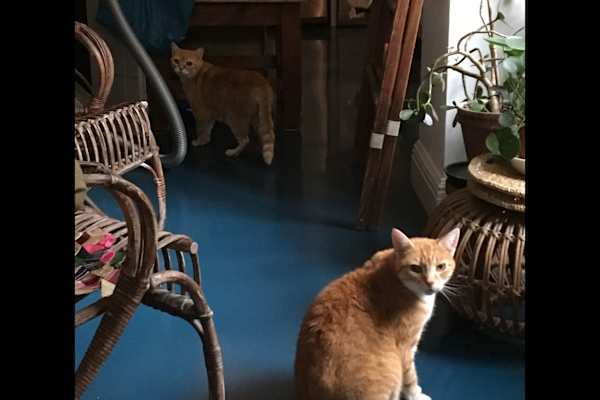 London, England, United Kingdom