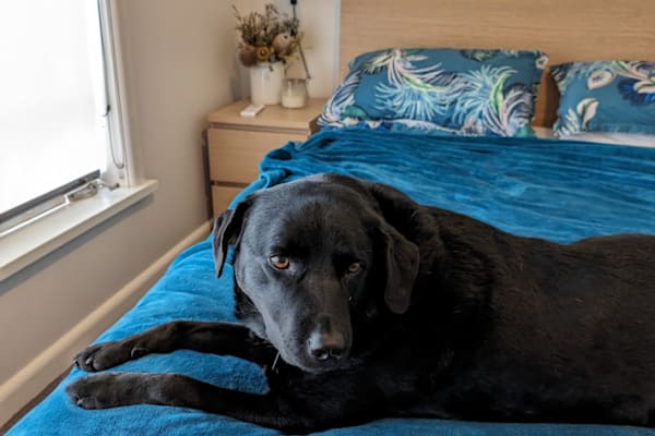 Melbourne, Victoria, Australia