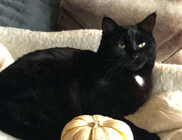 British Columbia, Canada