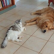 Cooloongup, Western Australia, Australia