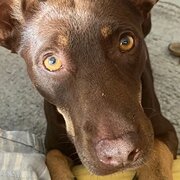 Kinross, Western Australia, Australia