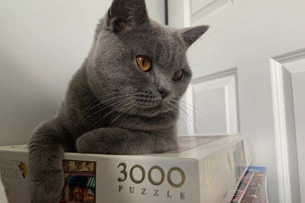 London, England, United Kingdom