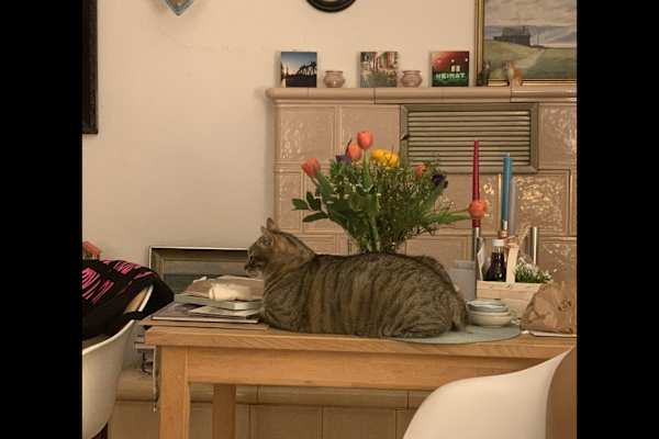 Freiburg, Baden-Wuerttemberg, Germany