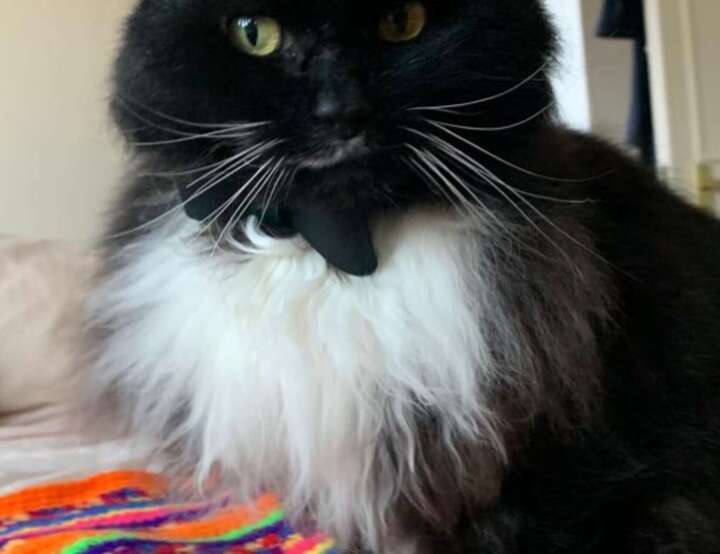 London, England, United Kingdom