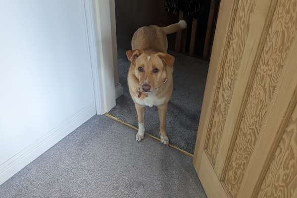 Redditch, England, United Kingdom