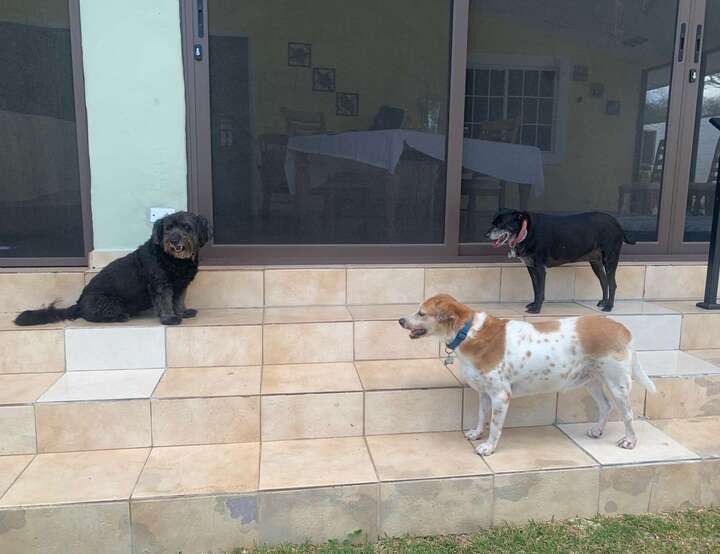 Coronado, Panamá Oeste, Panama