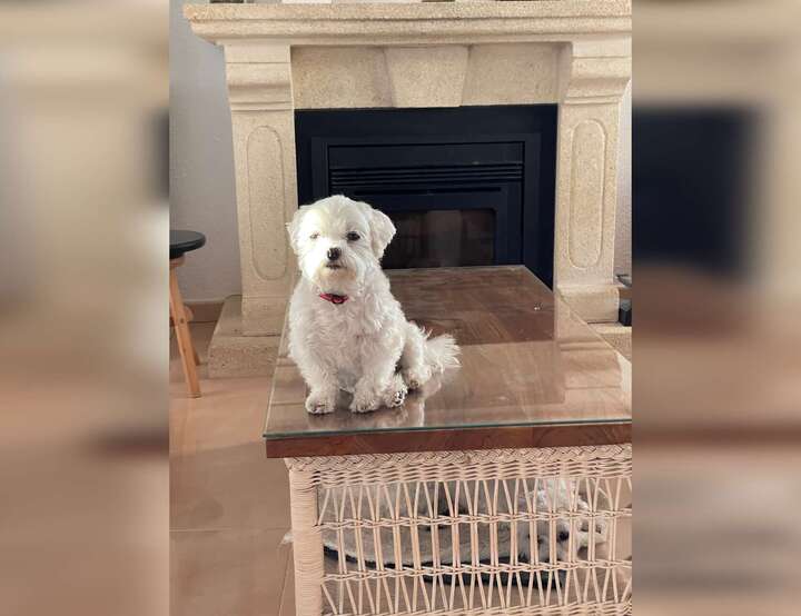 Xàbia, Comunidad Valenciana, Spain