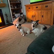 Fareham, South East England, UK