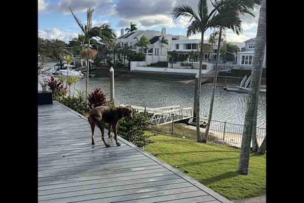 Sydney, New South Wales, Australia