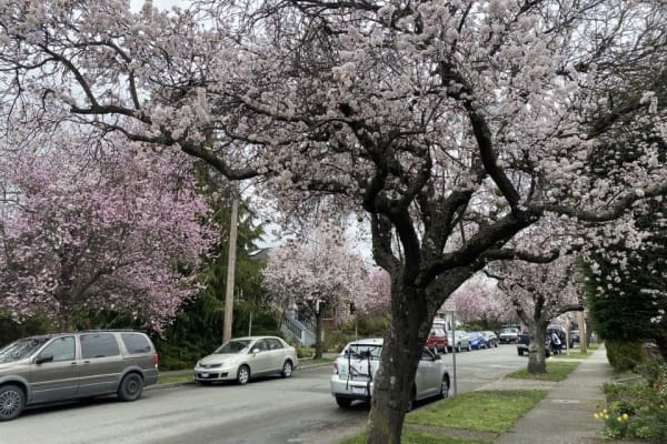 Victoria, British Columbia, Canada