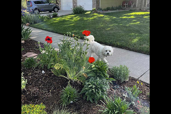 Boulder, Colorado, United States