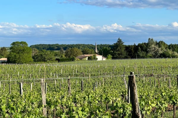 Castillon-la-Bataille, Nouvelle-Aquitaine, France