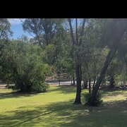 Leschenault, Western Australia, Australia