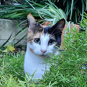 Joondanna, Western Australia, Australia