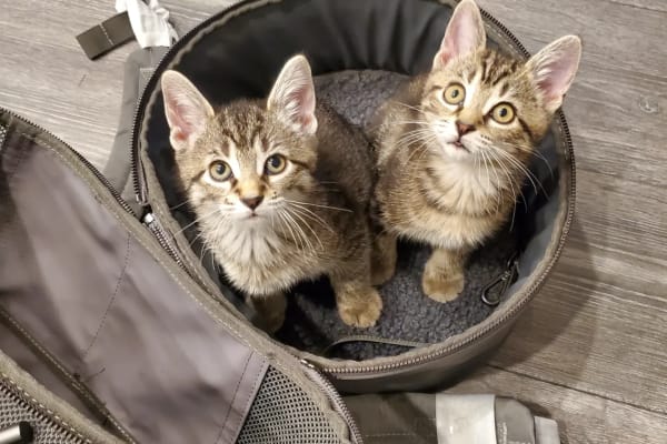 St. John's, Newfoundland and Labrador, Canada