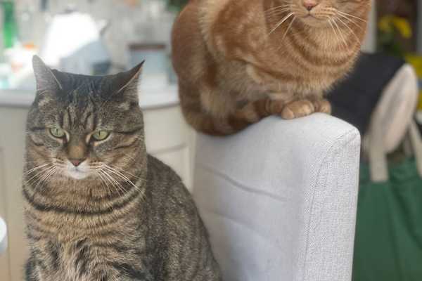 St Austell, England, United Kingdom