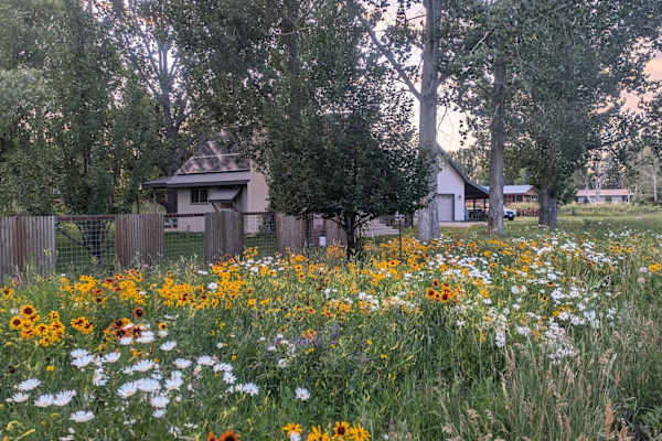 Bayfield, Colorado, United States