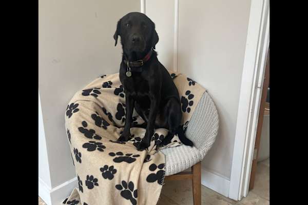 East Bergholt, England, United Kingdom