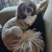 Palm Beach, Queensland, Australia