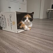 Nambour, Queensland, Australia