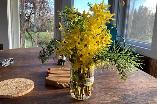 Seal Cove, Maine, United States