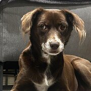 Ringwood, Victoria, Australia